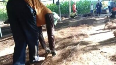 Sinergi Sirkular AMMAN: Mengubah Serat Aren Terbuang Menjadi Perajut Mandiri Ekonomi Warga
