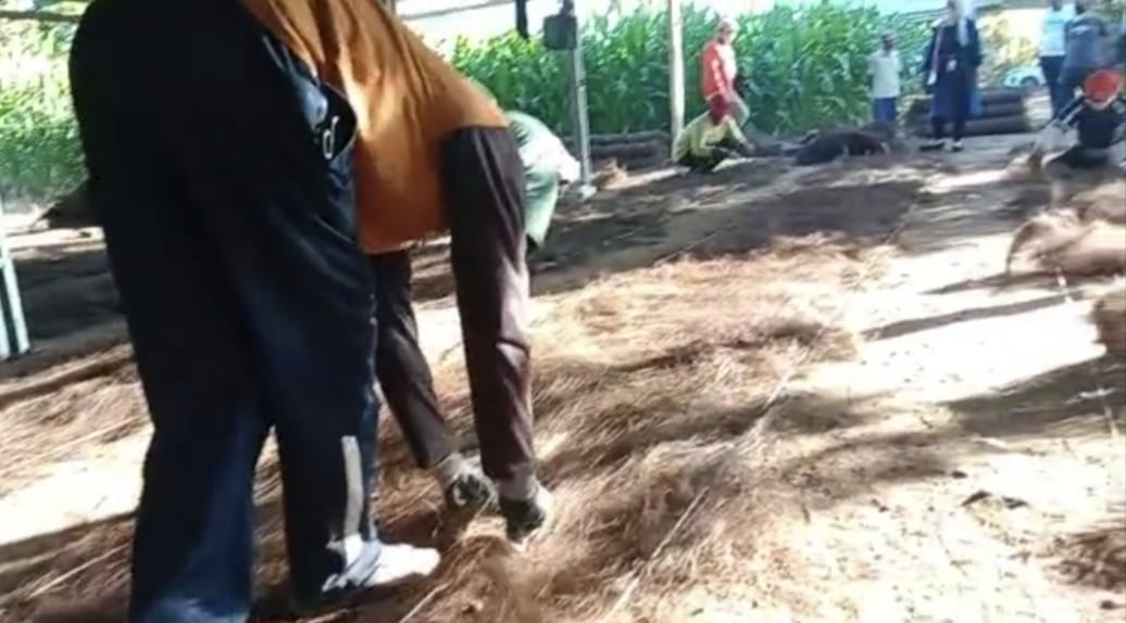 Sinergi Sirkular AMMAN: Mengubah Serat Aren Terbuang Menjadi Perajut Mandiri Ekonomi Warga